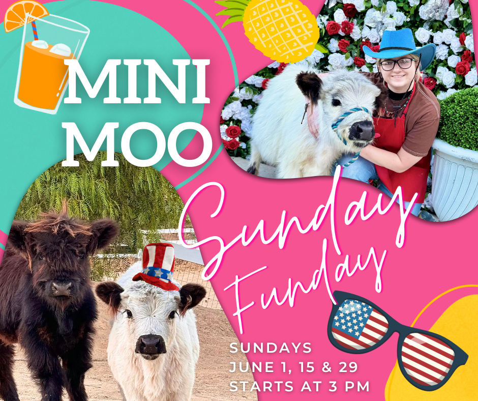 Mini Moo Spring Fling