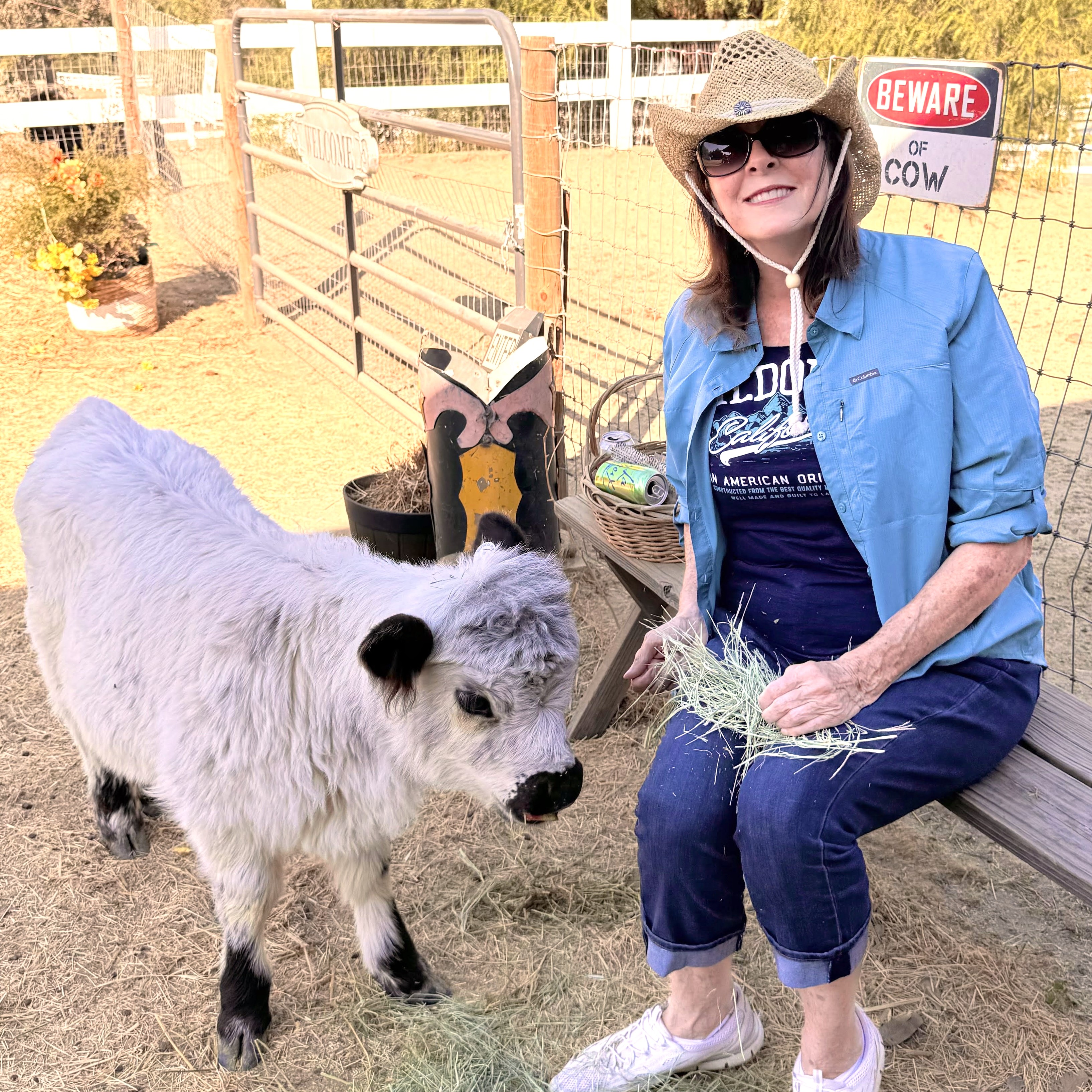 Mini Highland Calf Experience